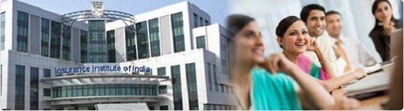 Insurance_institute_of_india_the_insumist